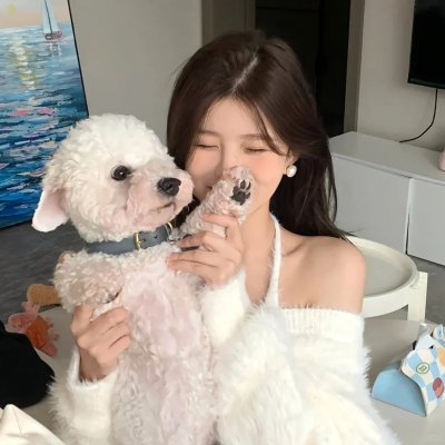 狂野之翼